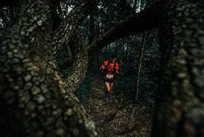 BIB: 
                            <button type="button" onclick="openModal(25689227)" class="btn btn-primary btn-sm float-right btn-popup" data-toggle="modal" data-target=".modal-high-quality">
                        <i class="fas fa-shopping-cart"></i> Add to Cart
                    </button>
                                            <button type="button" onclick="isThisMe(25689227, true)" class="btn btn-success btn-sm float-right btn-popup btn-isme hidden" data-toggle="tooltip" data-placement="bottom" title="นี่คือรูปของคุณใช่ไหม คลิกที่นี่เพื่อเอาเข้าอัลบั้ม">
                        <i class="fas fa-plus"></i> Add to album
                    </button>
                    <button type="button" onclick="isThisMe(25689227, false)" class="btn btn-warning btn-sm float-right btn-popup btn-isnotme hidden">
                        <i class="fas fa-ban"></i> Remove from album
                    </button>